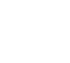 icon1